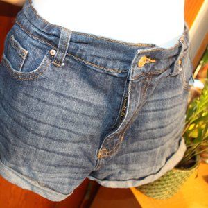 No Boundaries High Waisted jean shorts